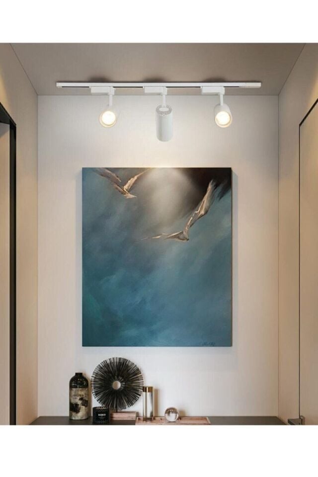 Ray Spot Beyaz Kasa Günışığı Işık 6 Adet + 2 Metre Ray 1+1